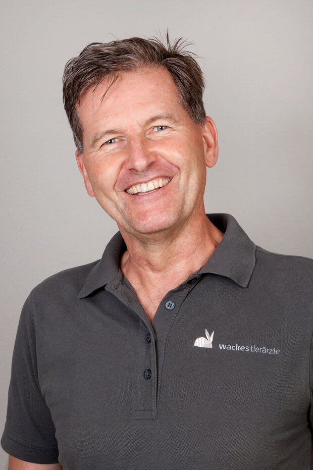 Fachtierarzt für Kleintiere, Orthopädie, Chirurgie, Endoskopie, Zahngesundheit, Freiburg