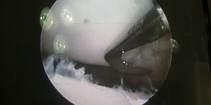 Arthroskopische Instrumentation Kleintier