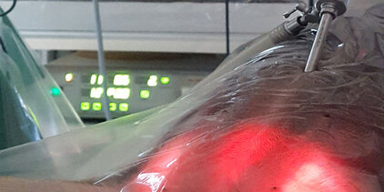 MIC Operationen Kleintiere