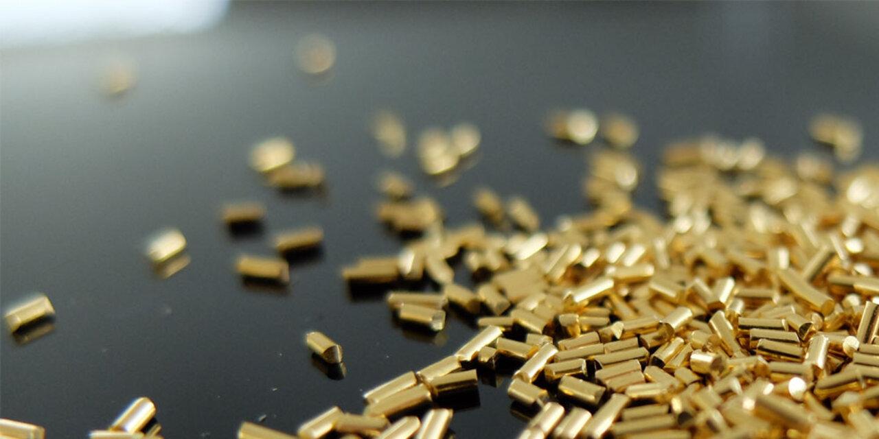 Goldimplantation Schmerztherapie bei hund und Katze Dr.B.Fischer-Wackes